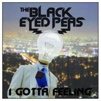 Black Eyed Peas - I Gotta Feeling (Acapella)