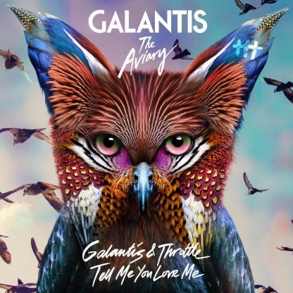 Galantis & Throttle - Tell Me You Love Me (Studio Acapella)