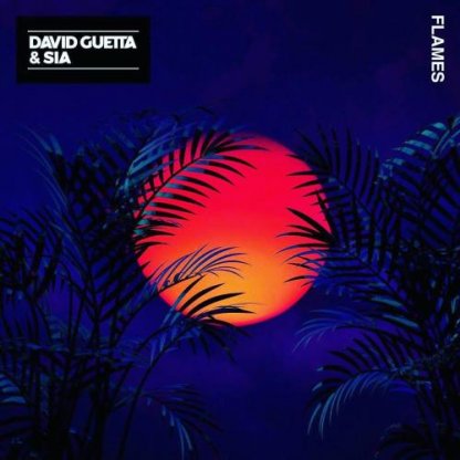 David Guetta & Sia - Flames (Acapella)