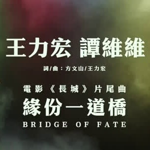 王力宏 谭维维 - 缘分一道桥（干声）
